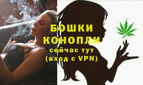 эйфоретик Белокуриха