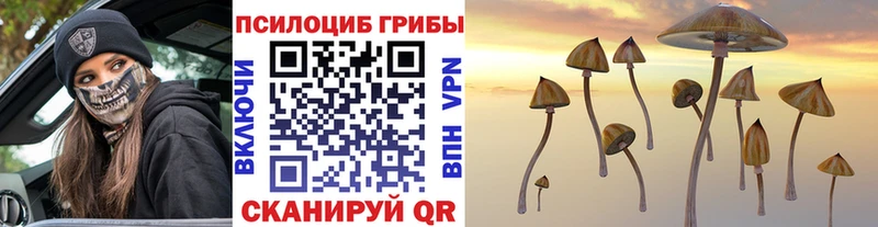 ссылка на мегу сайт  Белореченск  даркнет телеграм  Галлюциногенные грибы Magic Shrooms 